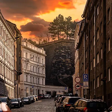 Crystal Dog